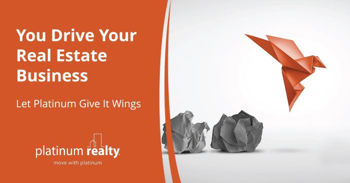 You Drive Your Real Estate Business. Let’s Give It Wings!